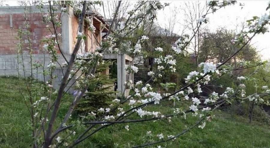 Casă cu 4 camere cu Teren 2344 Mp în Secăriei