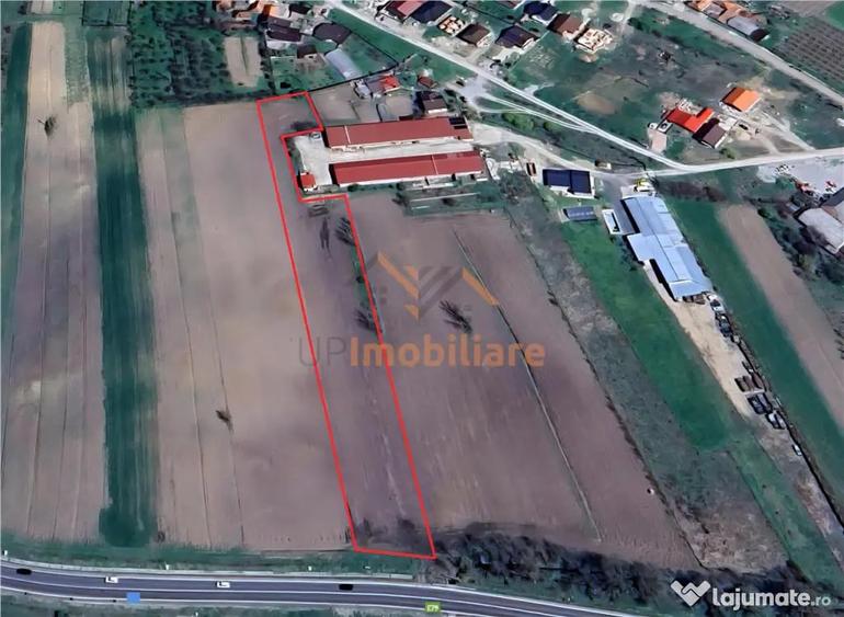 Teren de 4367 mp, în Hidiș