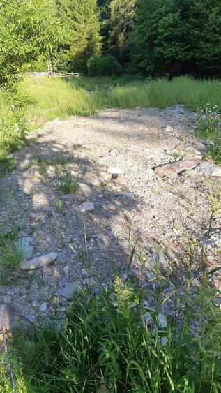 Teren de 2250 mp, în Albac