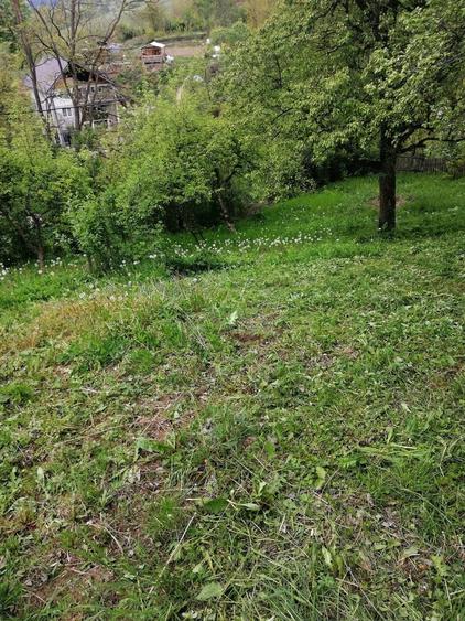 Teren de 714 mp, în Iedera
