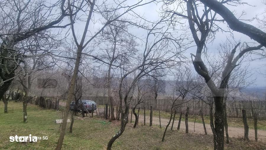 Teren de 3781 mp, în Izvoarele