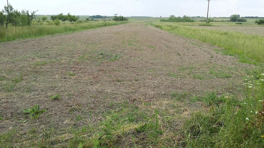 Teren de 5000 mp, în Colonești