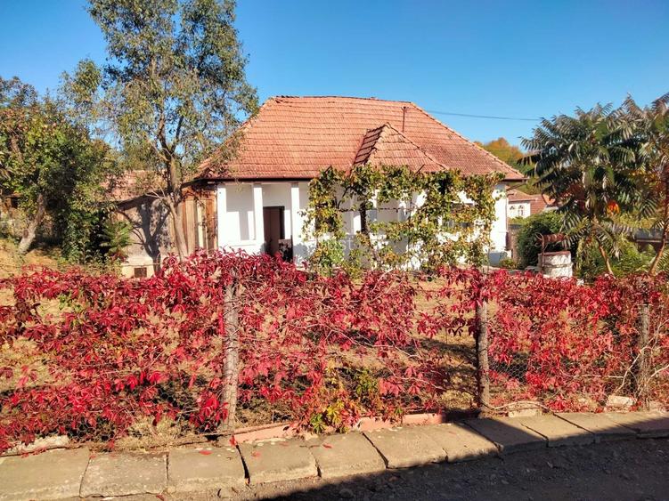Casa de vanzare Raciu Mures