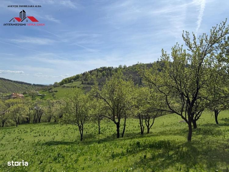 Spațiu comercial, în Valea Vințului