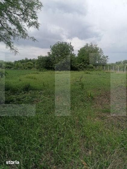 Casă cu 3 camere cu Teren 1724 Mp în Central