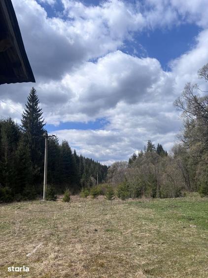 Teren de 19954 mp, în Dorna-Arini