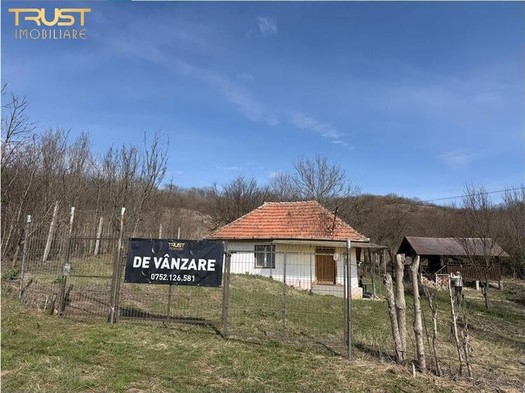 Teren intravilan de 11400 mp, în Corpadea