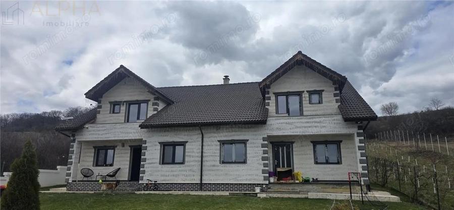 Casă cu Teren 1450 Mp în Viișoara
