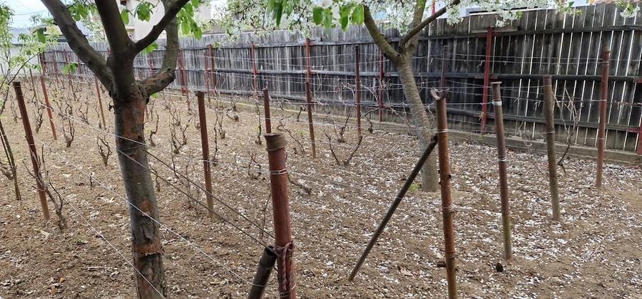 Teren de 341 mp, în Central