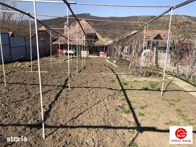 Casă cu 3 camere cu Teren 1100 Mp în Pănet