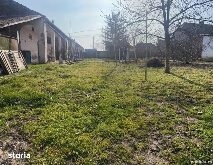 Casă cu 3 camere cu Teren 3500 Mp în Cenei