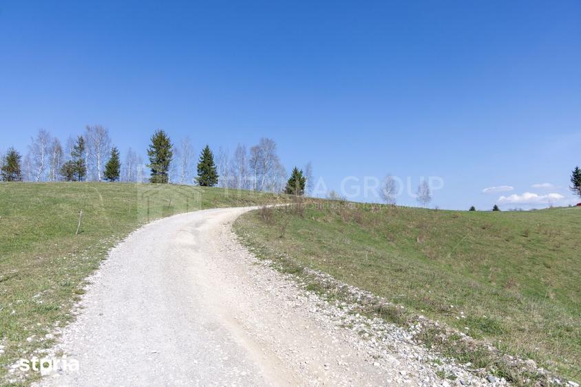 Teren de 3791 mp, în Moieciu