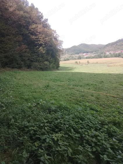 Teren de 5600 mp, în Nord