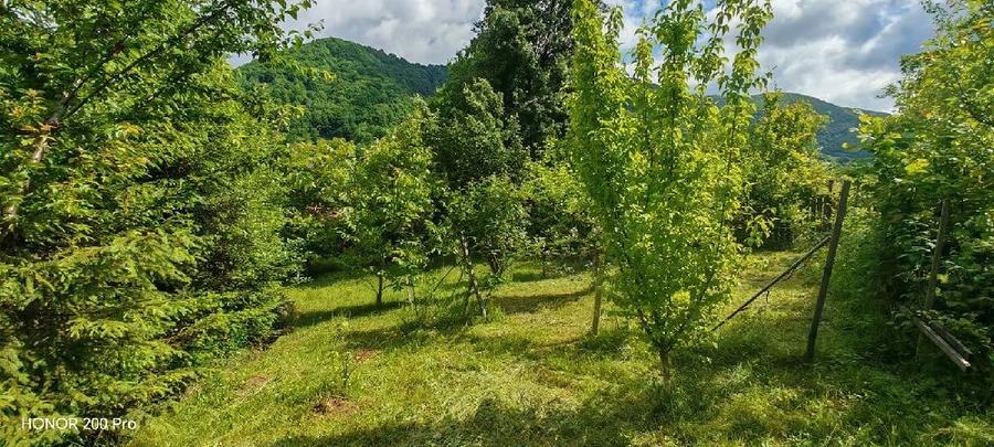 Teren de 800 mp, în Ibănești