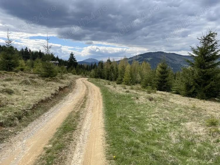 Teren de 5000 mp, în Cozănești