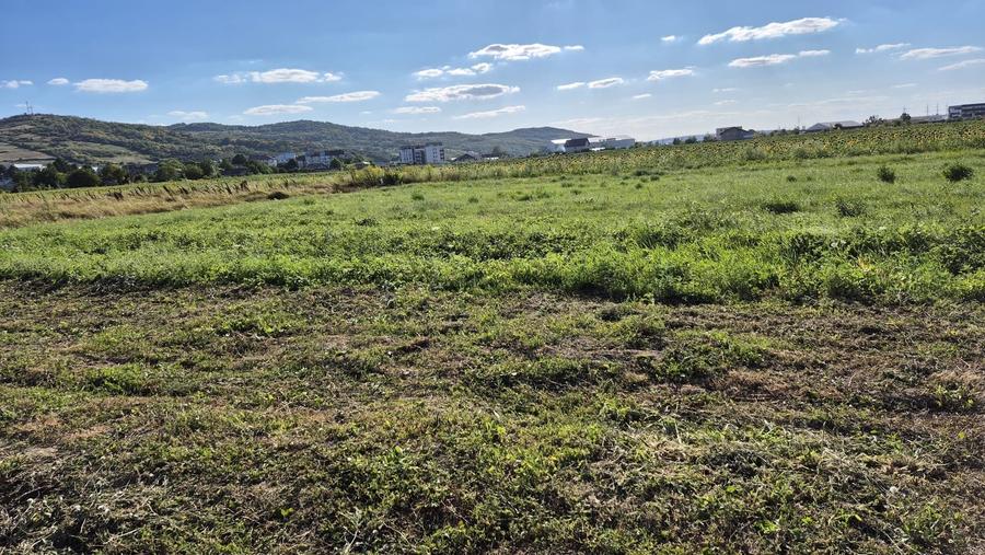 Teren de 650 mp, în Tomești