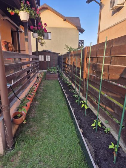 Casă individuală cu 4 camere cu Teren 300 Mp în Valea Lupului