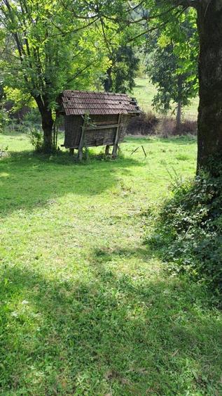 Casă cu 3 camere în Central