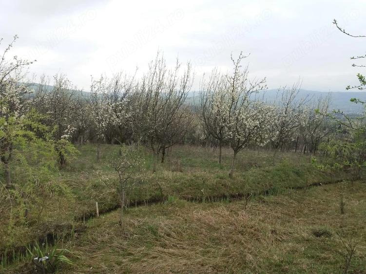 Teren de 1700 mp, în Teișani