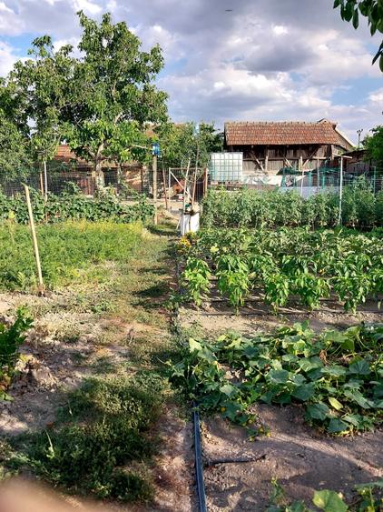 Casă cu 3 camere în Gurba