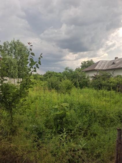 Teren Construcții intravilan de 2347 mp, în Boldești-Scăeni