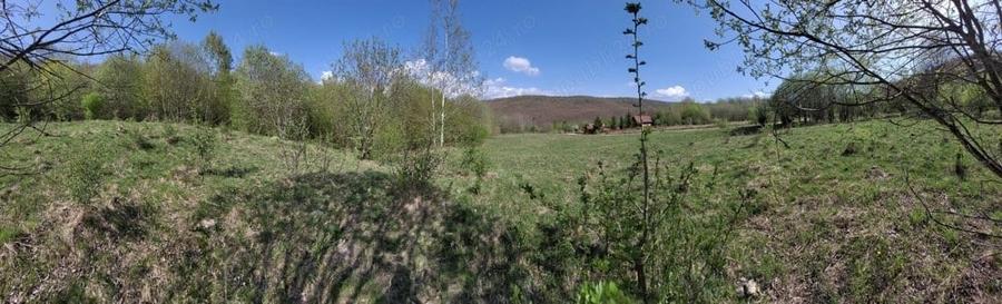 Teren de 4000 mp, în Satu Mare