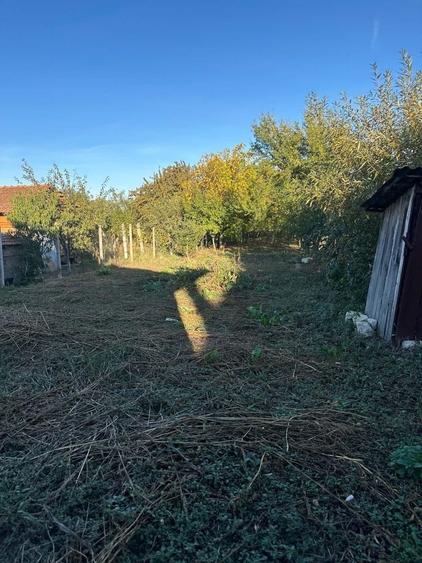 Casă cu 3 camere în Ardusat