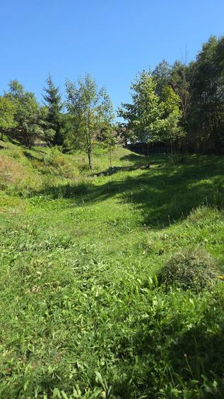 Teren de 900 mp, în Sadova