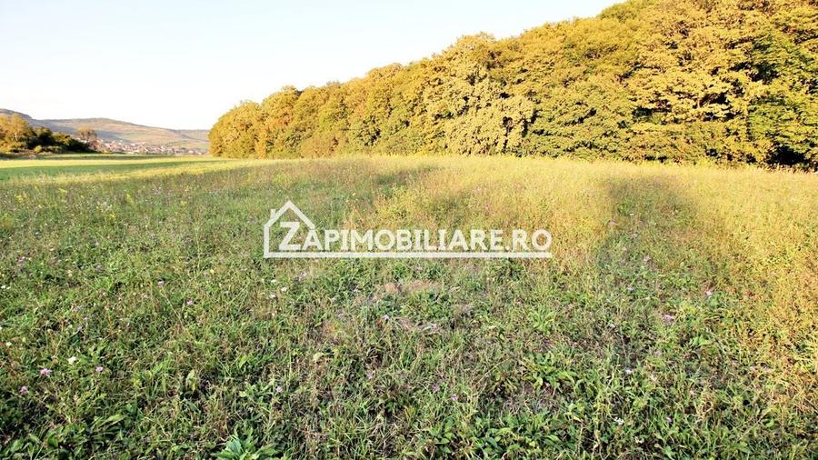 Teren Construcții extravilan de 29759 mp, în Livezeni