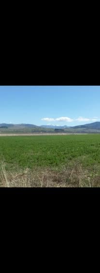 Teren agricol intravilan de 11540 mp, în Tărlungeni