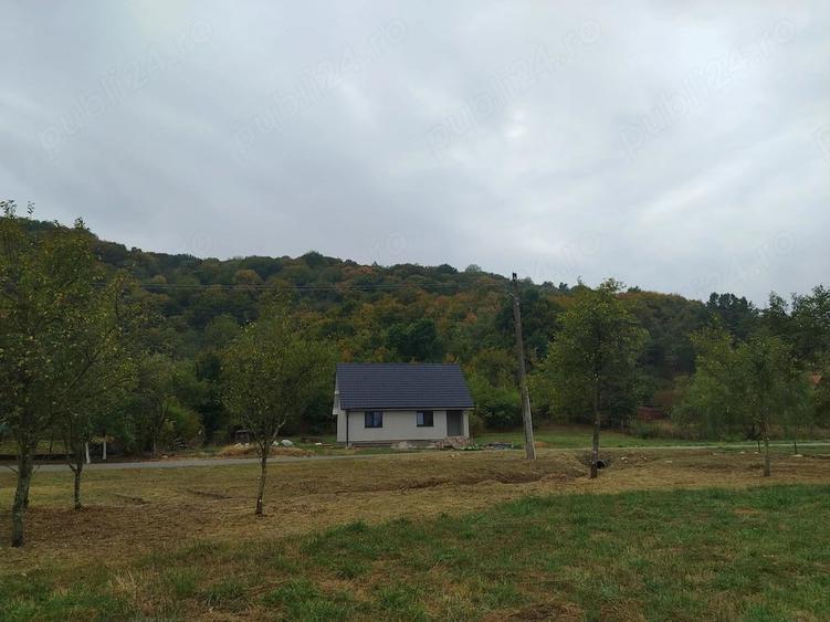 Teren de 3080 mp, în Căprioara