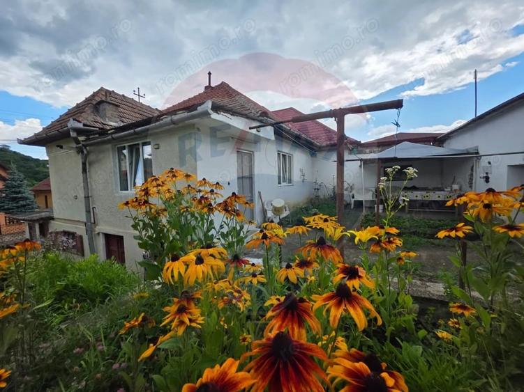 Casă cu 3 camere cu Teren 250 Mp în Sud