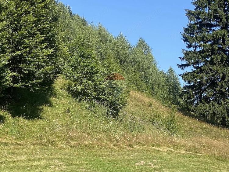 Teren Extravilan 4,306 mp in Vama Buzaului la Strada Principala - 6
