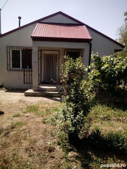 Casă cu 3 camere cu Teren 5000 Mp în Pătlăgeanca