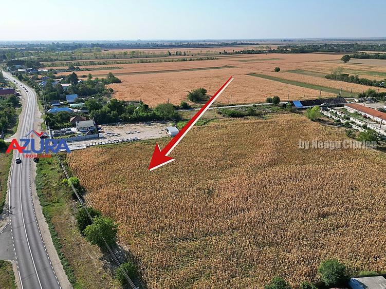Teren Construcții intravilan de 7976 mp, în Crângurile