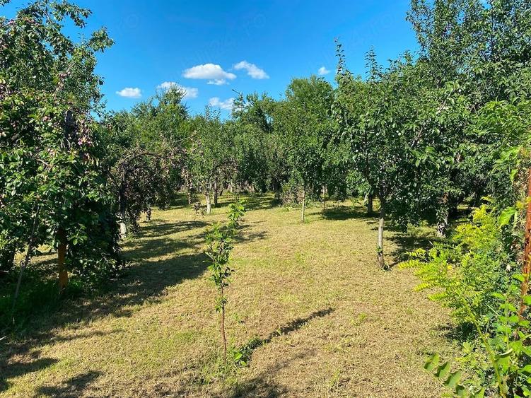 Teren intravilan de vanzare-560mp-Sat Tariceni,Comuna Sirna,Judet Prahova - 3