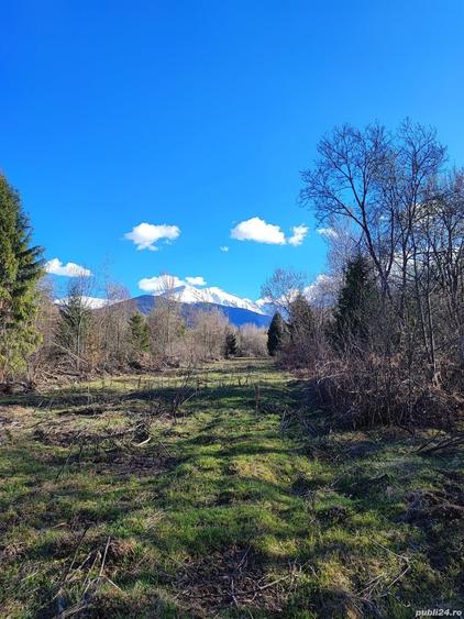 Teren de 2100 mp, în Central