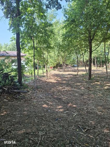 Teren de 1260 mp, în Tunari