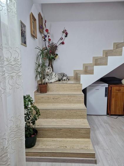 Casă cu 3 camere în Beba Veche