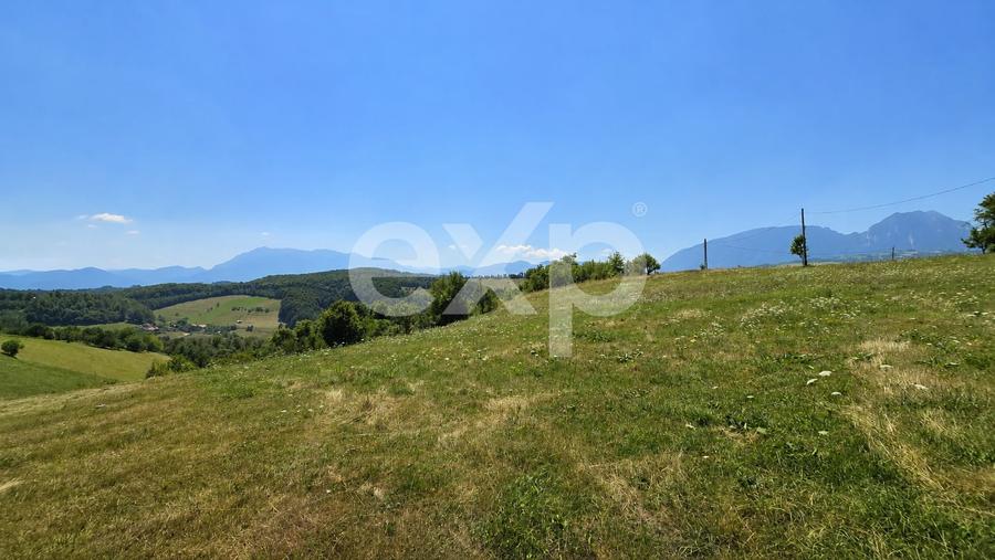 Teren Construcții extravilan de 3000 mp, în Poiana Mărului