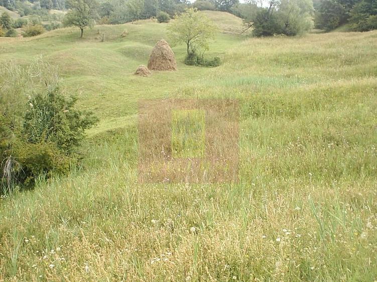 Teren de 4404 mp, în Telega
