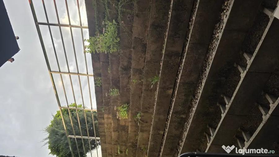 Garsonieră decomandată în Avantgarden