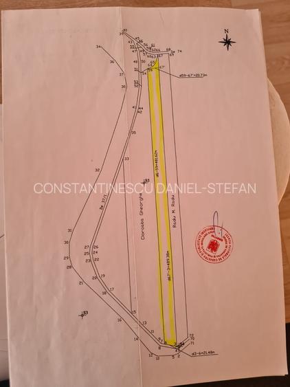 Teren 10.000 mp intravilan Tunari, Str. Orientului, 80 €/mp