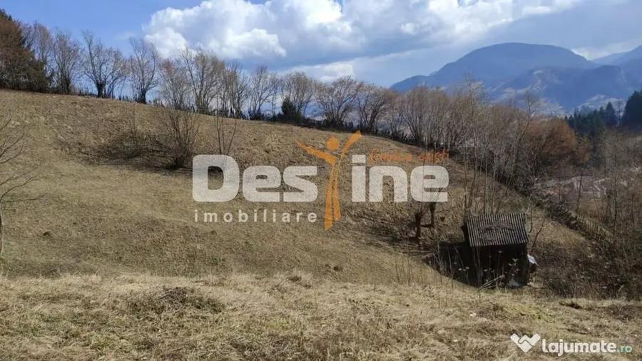 Teren 5000 mp, ideal cabana, pensiune, in zona de interes... - 4