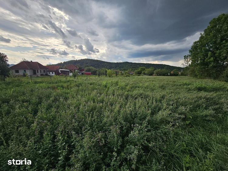 Casă cu 5 camere cu Teren 3498 Mp în Vața de Jos