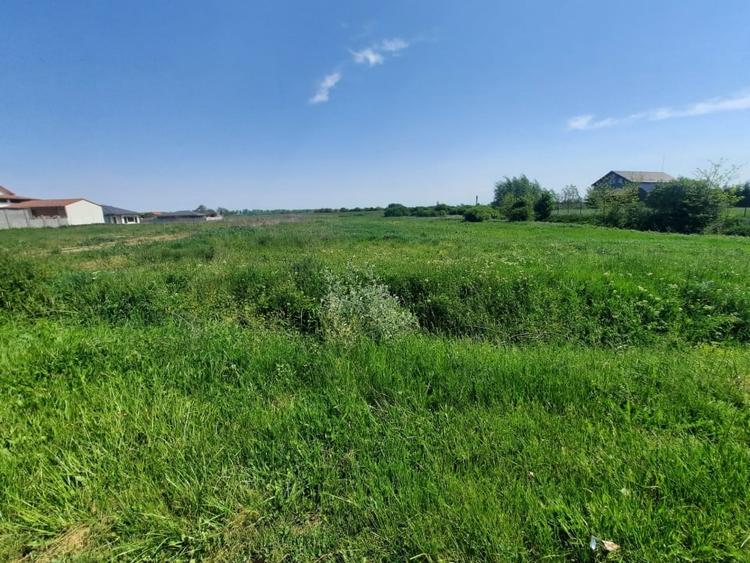 Teren Construcții intravilan de 12216 mp, în Vetiș