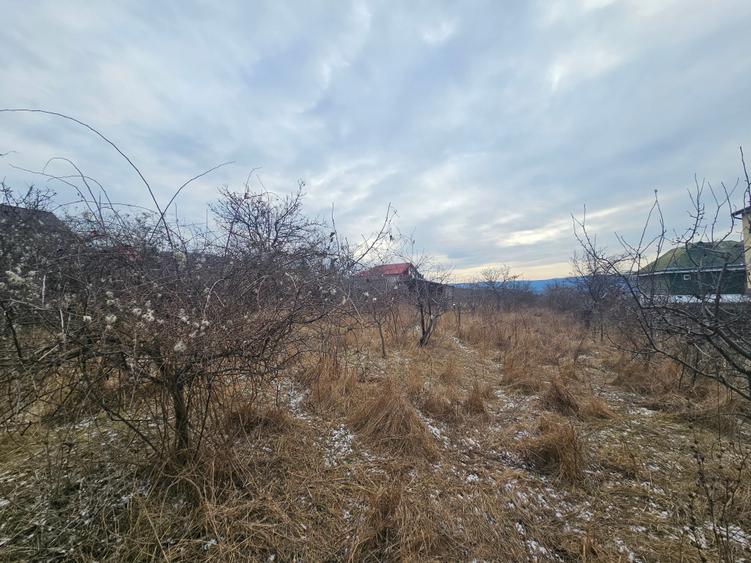 Teren intravilan de 2450 mp, în Pietrărie