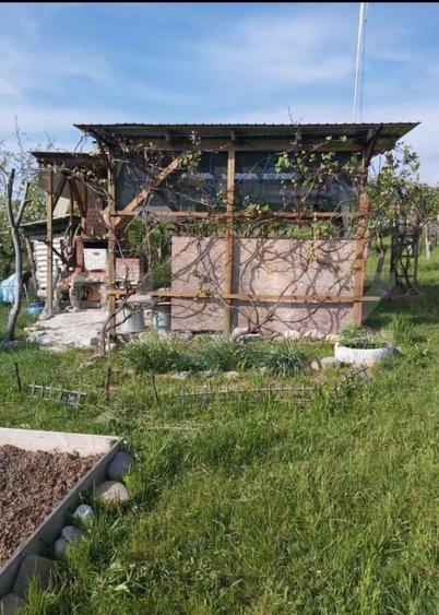 Teren Construcții extravilan de 2900 mp, în Sud-Vest