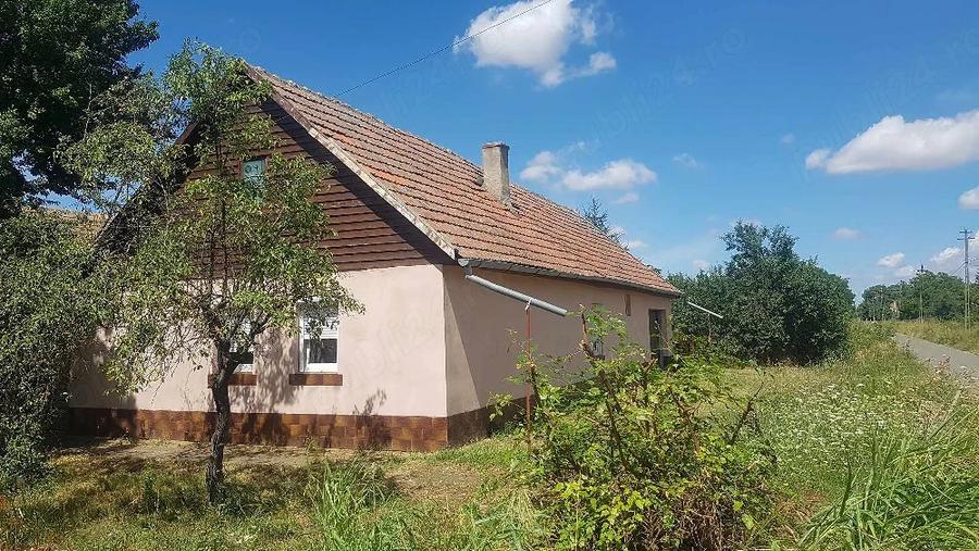 Casă cu Teren 1464 Mp în Vinga
