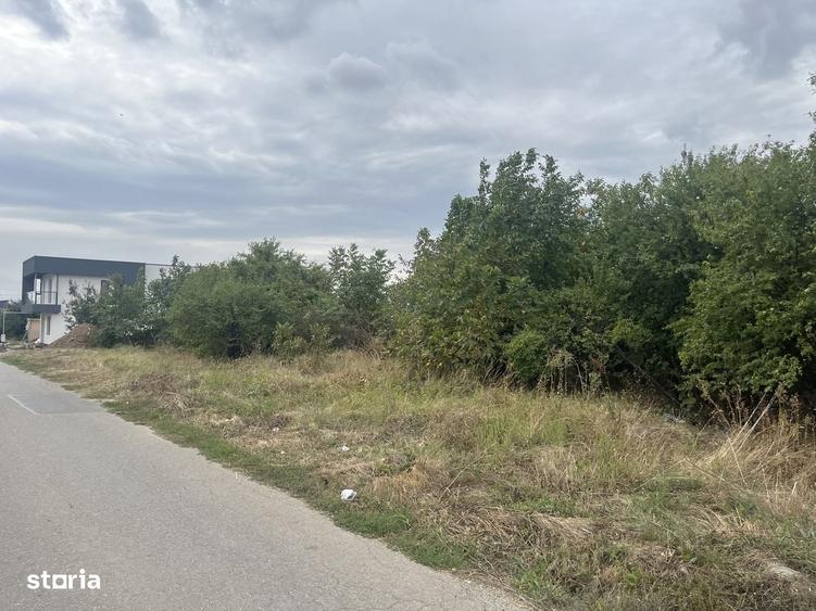 Teren Intravilan 1000 mp Jilava -Str.Garii,Asfalt ,Toate Utilitatiele - 4